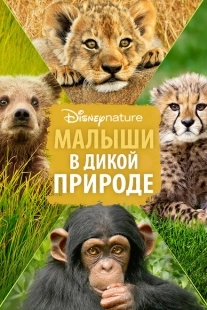 Постер аниме Малыши в дикой природе (2016)