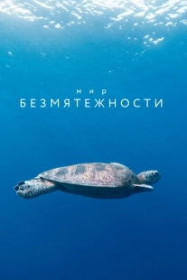 Постер фильмамультфильма Мир безмятежности (2020)