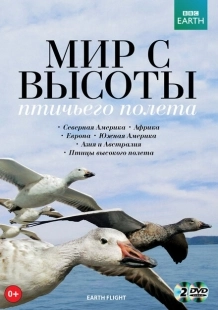 Постер Мир с высоты птичьего полета (2011)