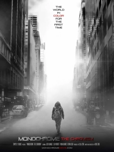 Постер аниме Монохром: Хромизм (2019)