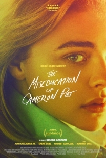 Постер аниме Неправильное воспитание Кэмерон Пост (2017)