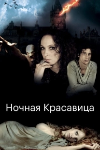Постер аниме Ночная красавица (2013)