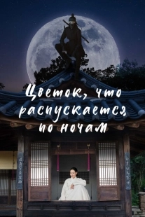 Постер  Ночной цветок (2024)