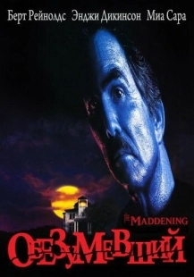 Постер аниме Обезумевший (1995)