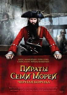 Постер фильмамультфильма Пираты семи морей: Черная борода (2006)