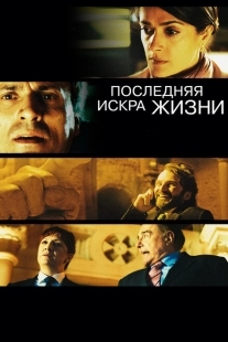 Постер аниме Последняя искра жизни (2011)