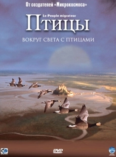 Постер аниме Птицы (2001)
