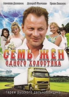 Постер фильмасериала Семь жен одного холостяка (2009)