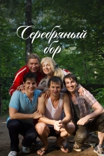 Постер фильмасериала Серебряный бор (2017)