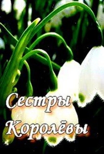 Постер фильмасериала Сестры Королевы (2010)