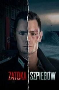 Постер фильмамультфильма Шпионский залив (2023)