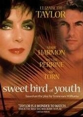 Постер аниме Сладкоголосая птица юности (1989)