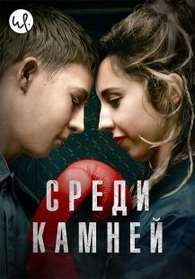 Постер фильмамультфильма Среди камней (2019)