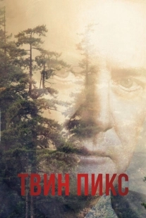 Постер фильмамультфильма Твин Пикс (1990)