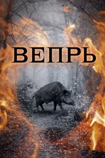 Постер фильмасериала Вепрь (2005)