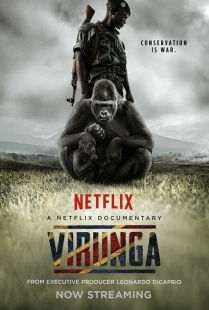 Постер аниме Вирунга (2014)