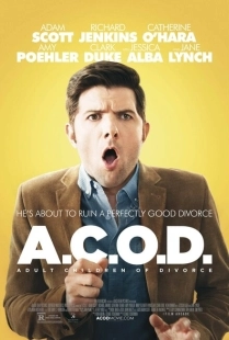 Постер аниме Взрослые дети развода (2013)