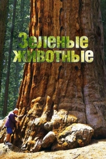 Постер  Зелёные животные (2015)