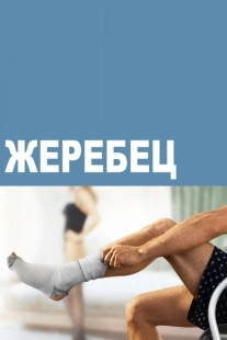 Постер фильмамультфильма Жеребец (2009)