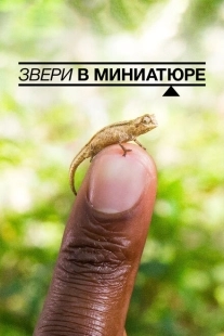 Постер аниме Звери в миниатюре (2017)